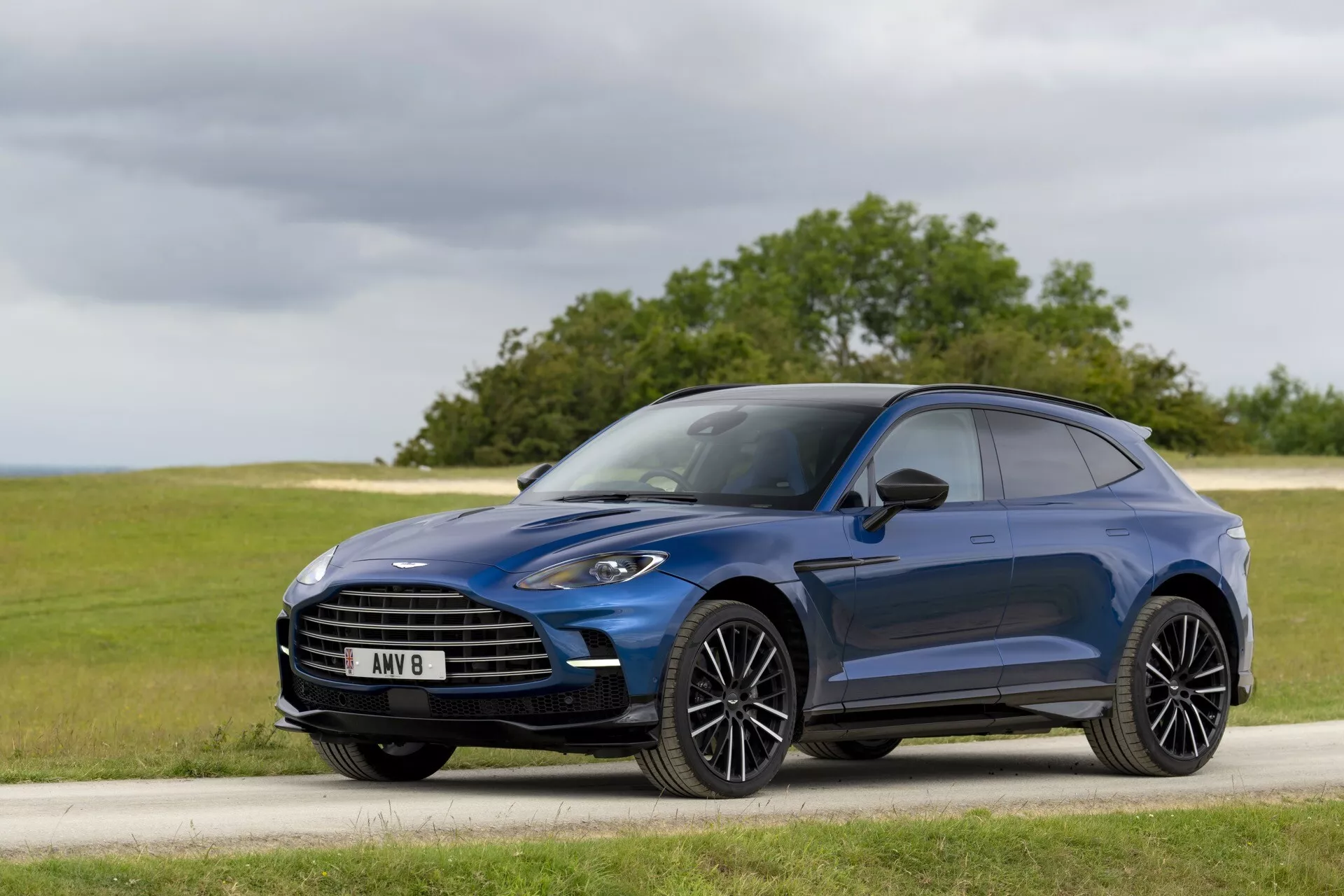 Luksuzni križanec SUV Aston Martin DBX letnik 2020 v pogledu spredaj tri četrtine, ki prikazuje njegovo masko, LED žaromete, oblikovano pokrov motorja in lita kolesa, postavljeno na cesti z naravnim, travnatim ozadjem pod mehko dnevno svetlobo
