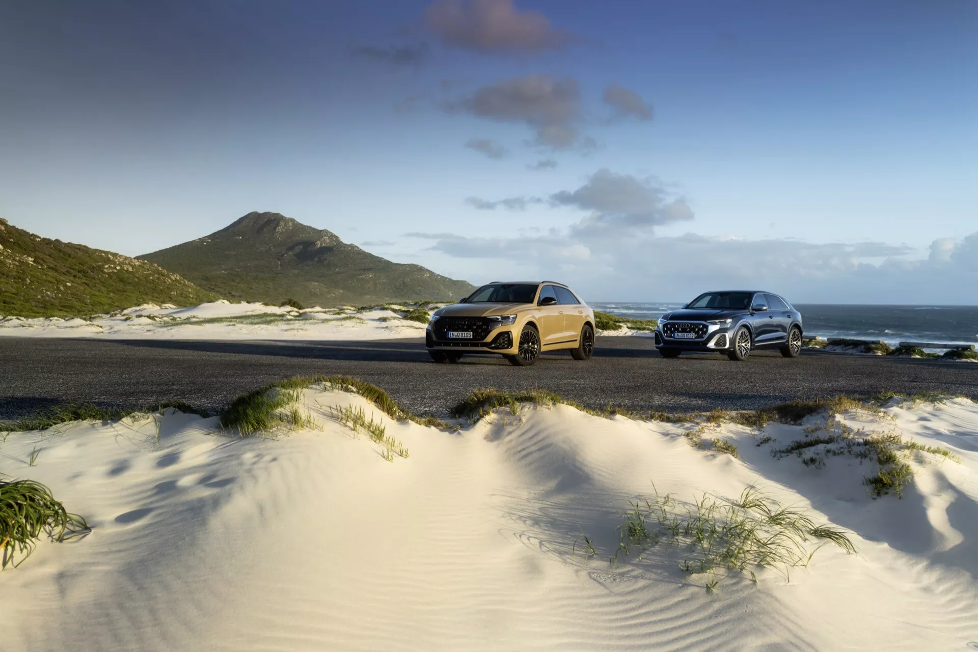 Modeli Audi Q8 (4M-Facelift) leta 2023 parkirani na plaži, prikazujejo bočne profile z oceanom in gorami v ozadju, pod naravno sončno svetlobo