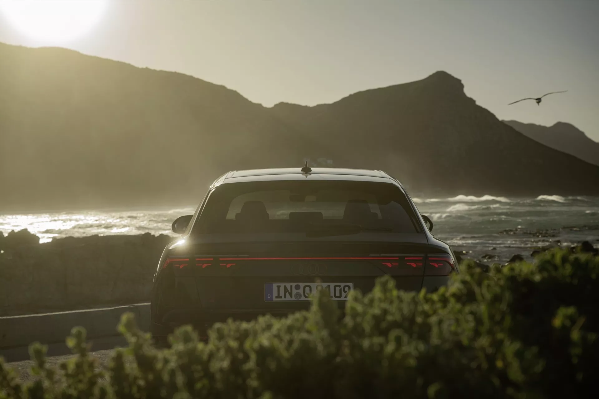 Zadnji pogled na Audi Q8 2023 (4M-Facelift), ki poudarja prtljažna vrata, zadnje okno, del strehe s silhueto pri sončnem zahodu, obalnim ozadjem z galebo, spojler, osvetljene horizontalne zadnje luči, možno vzvratno kamero in anteno v obliki morskega psa