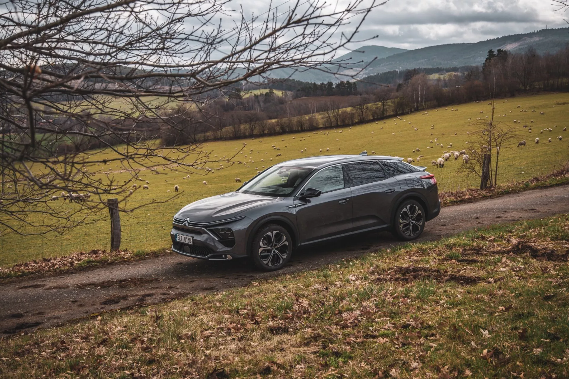 Citroen C5-X 2022 parkiran diagonalno v podeželski pokrajini z travnikom in drevesi, ki kaže njegov dvignjen crossover design, ostre linije karoserije, temno barvo, zlitinska kolesa in LED žaromete