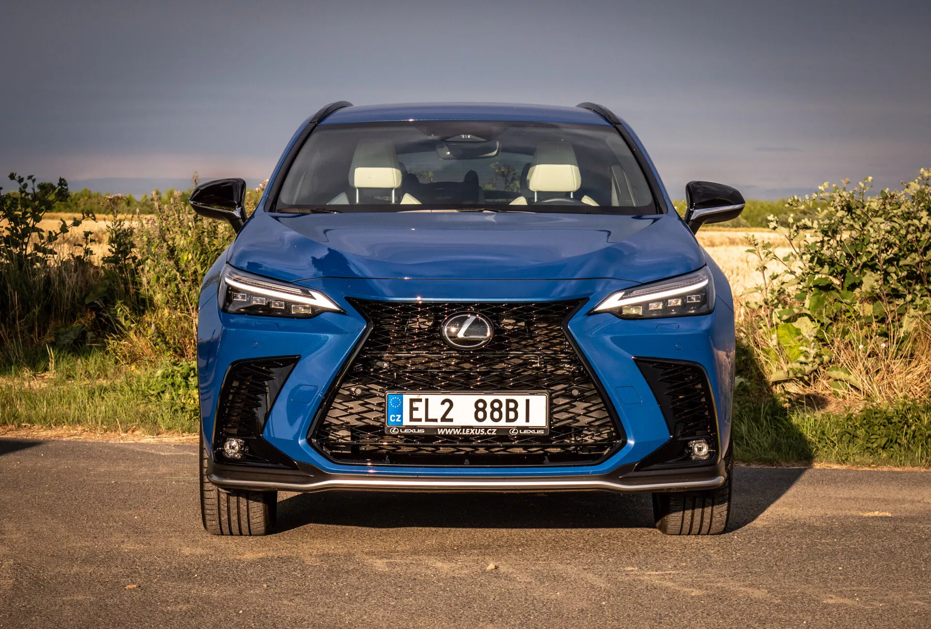Blizu frontalni pogled na Lexus NX 2021, ki prikazuje veliko rešetko, LED žaromete in registrsko tablico, s poudarkom na oblikovanju in tehnologiji v naravnem okolju.