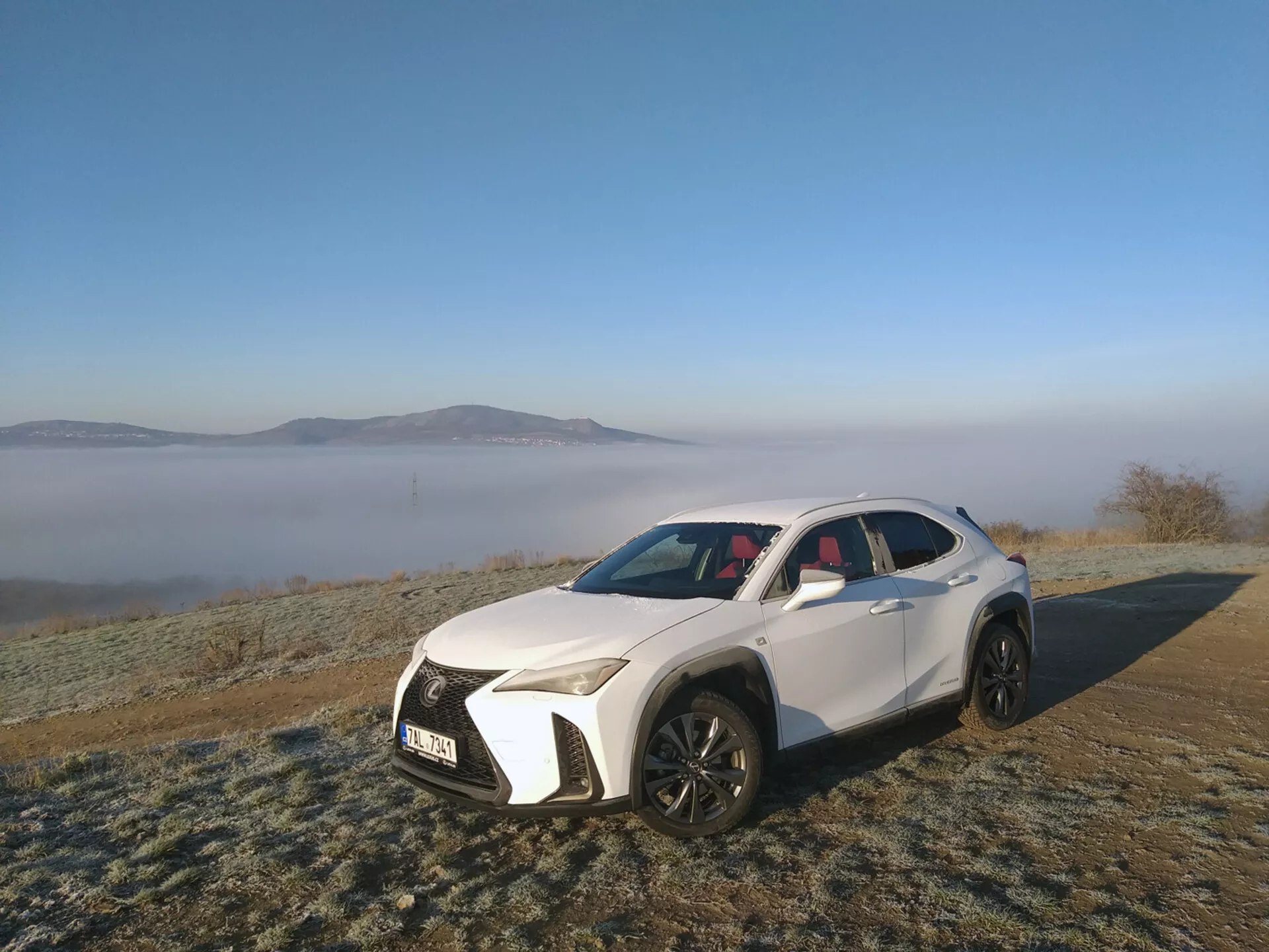 Belo športno terensko vozilo Lexus UX letnika 2019, parkirano na prostem na po zmrzali pokriti travi, prikazuje svoje kotne LED žaromete, veliko masko z mrežastim vzorcem, športne zračne reže, oblikovano pokrov motorja, črna platišča z večkrakim dizajnom, panoramsko streho in sodobne oblikovalske elemente na ozadju mirnega jutranjega megličastega okolja.