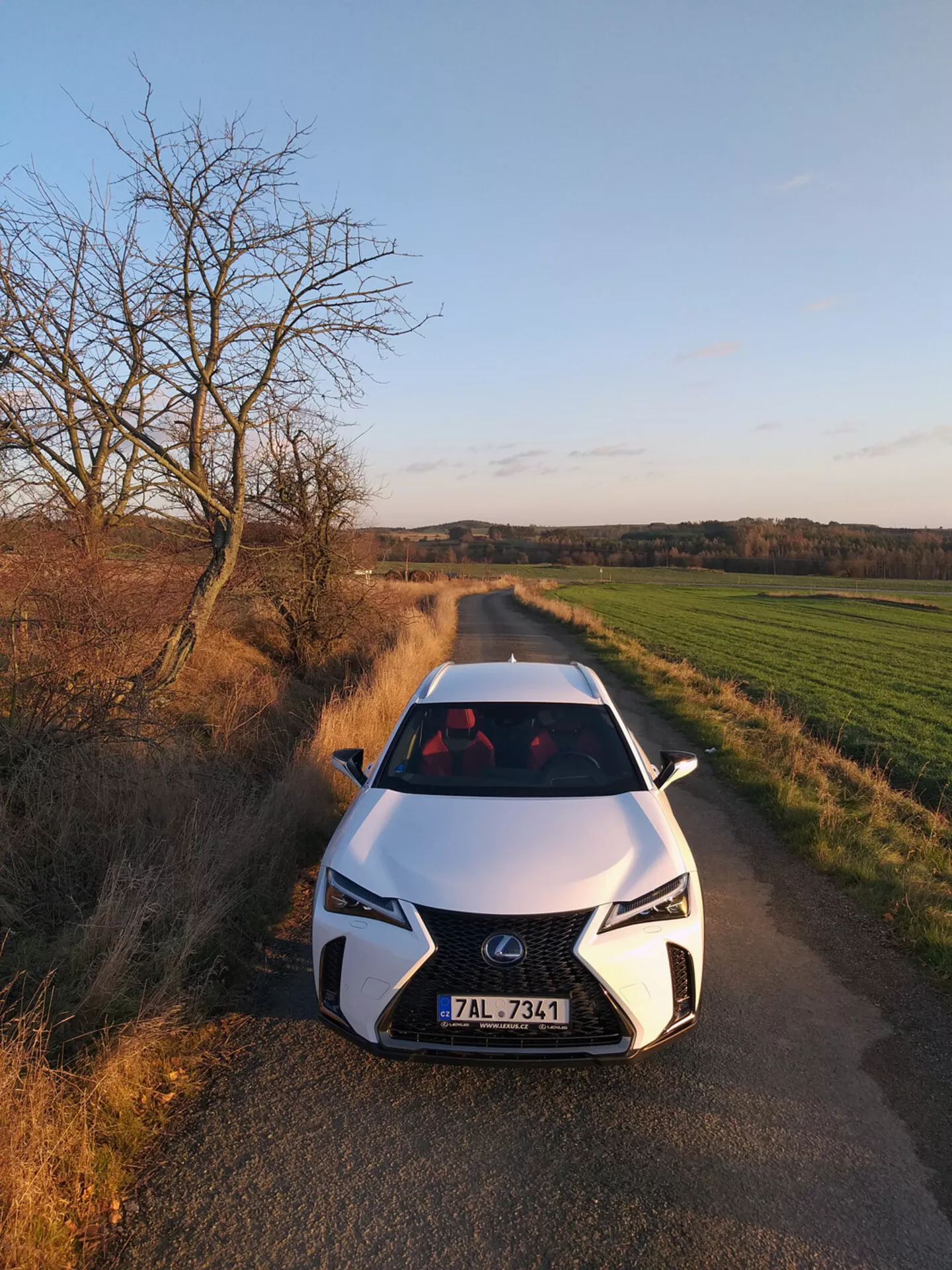 Sprednji pogled na Lexus UX 2019 na podeželski cesti, ki prikazuje njegov rešetka v obliki vretena, kotne LED žaromete in oblikovan pokrov motorja pod mehko, pozno popoldansko svetlobo