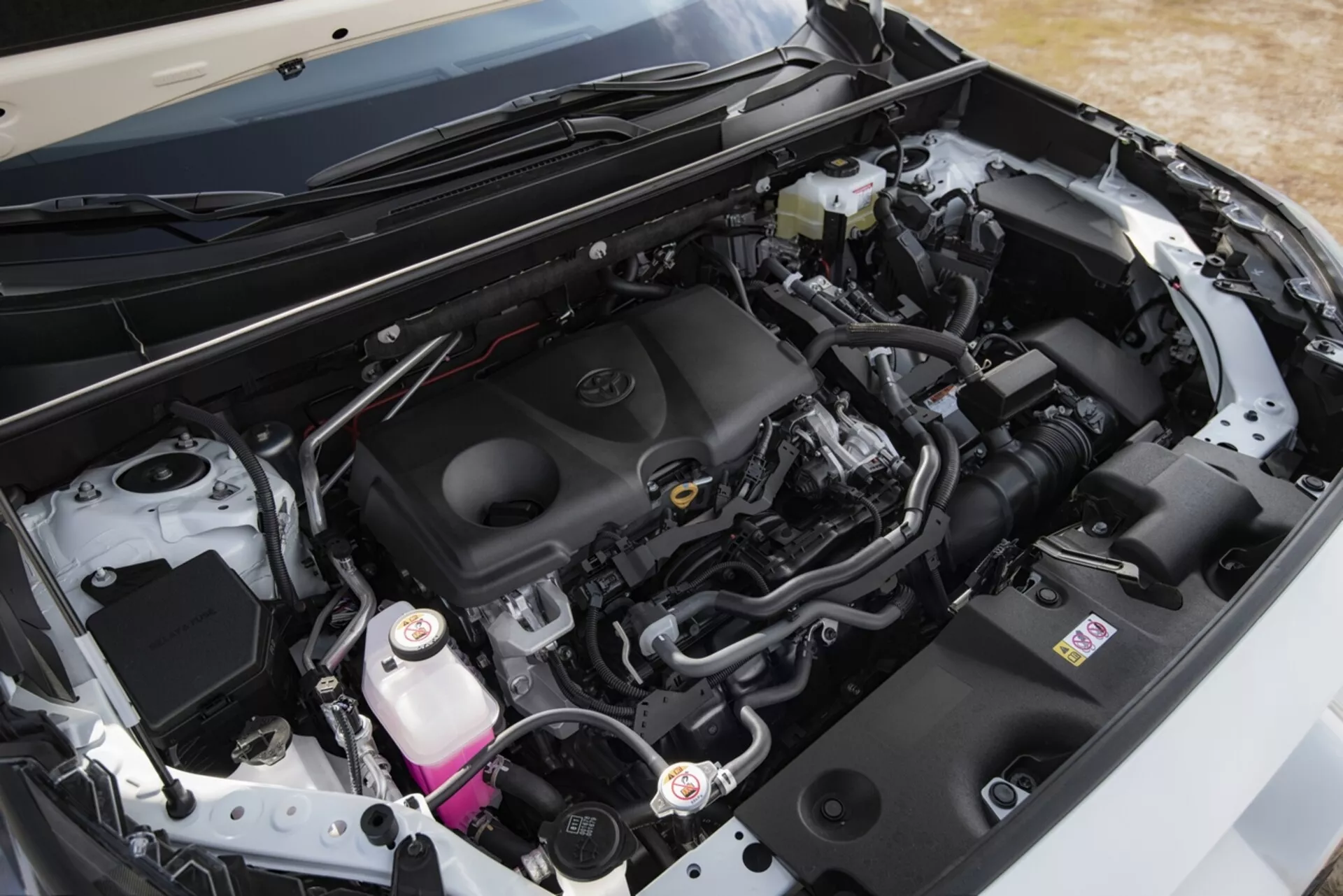 Posnetek iz bližine motorja Toyota RAV4 letnik 2019, ki poudarja čisto, sodobno zasnovo in komponente, kot so pokrov motorja z značko, sistem za dovod zraka, baterijo, posodo za zavorno tekočino in posodo hladilne tekočine, skupaj z različnimi cevmi in snopi kablov, pod odprtim pokrovom iz poševnega kota.